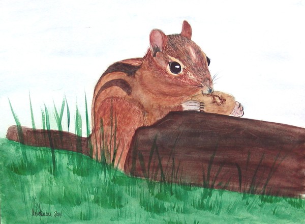 Sometimes You Feel Like A Nut