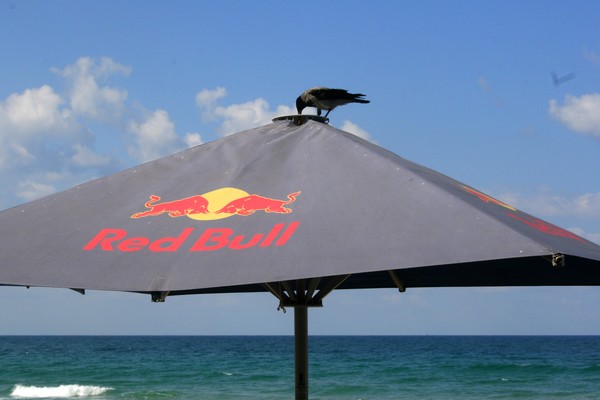 Red Bull gives you wings!