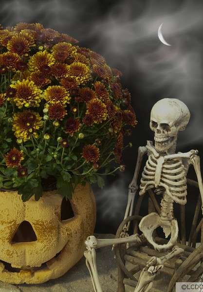 Trick or Treat !