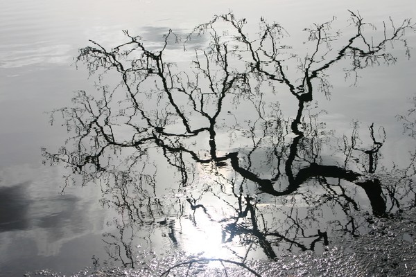 reflect....reflection