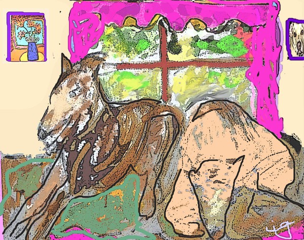 Dog's Room