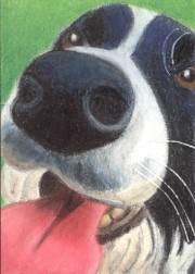 Unconditional Love - ACEO