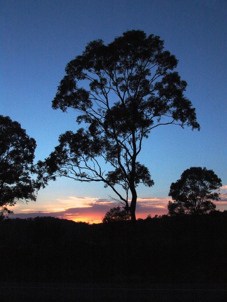 Evening in Australia