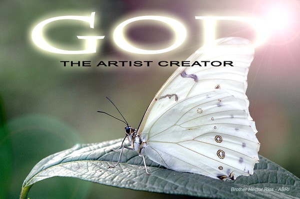 UNMISTAKABLE CREATURES - editorial design