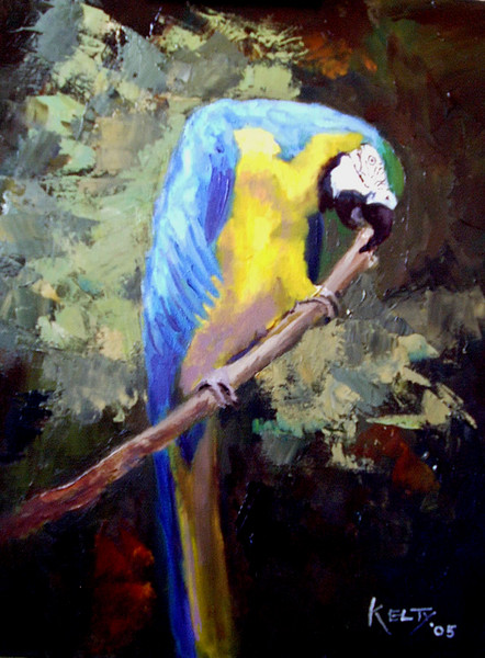 Blue Macaw