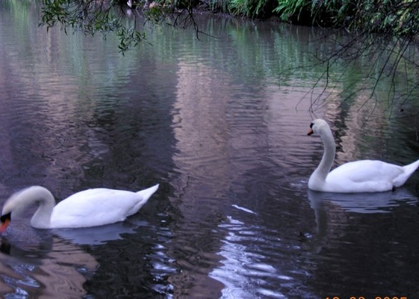 Peace and Quiet