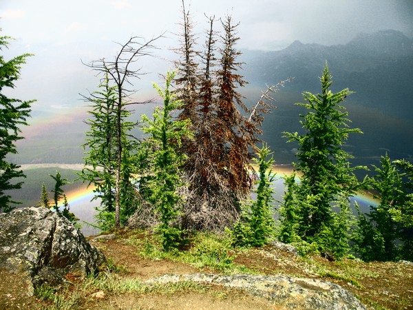After Thunderstorm