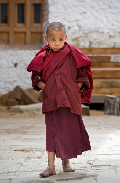 Young Monk No.1