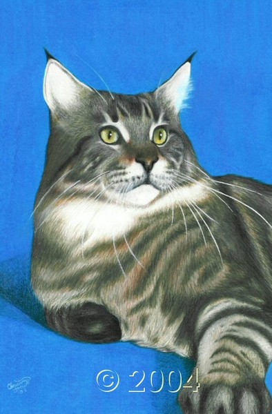 Verismo Donner Champion Maine Coon By Christina Langman Artwanted Com