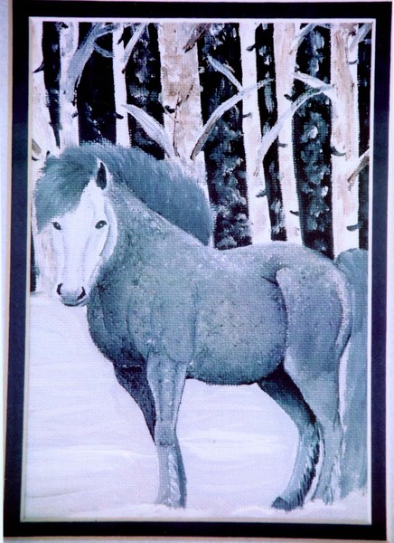 Snow Pony