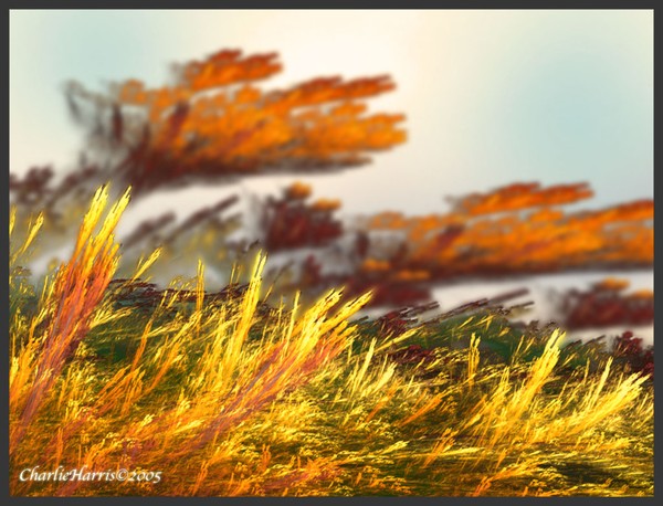Fractal Landscape