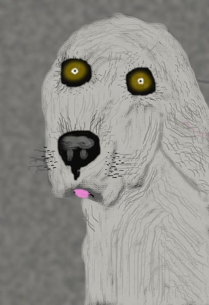 English Setter O609