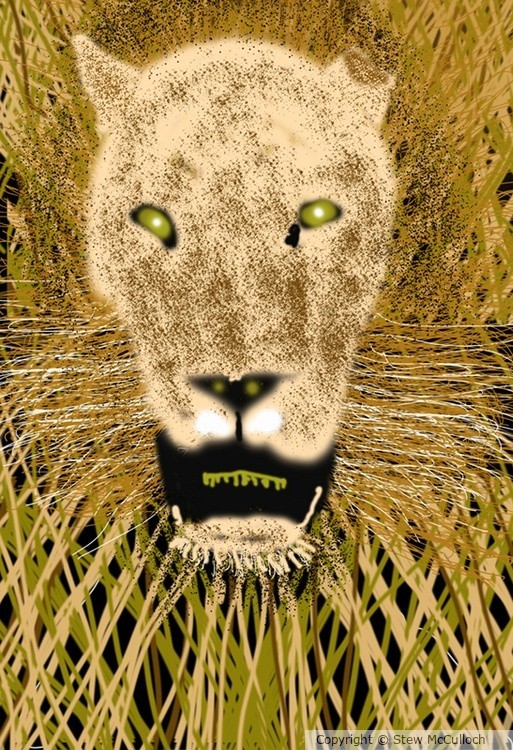Lion in the Grass  P277