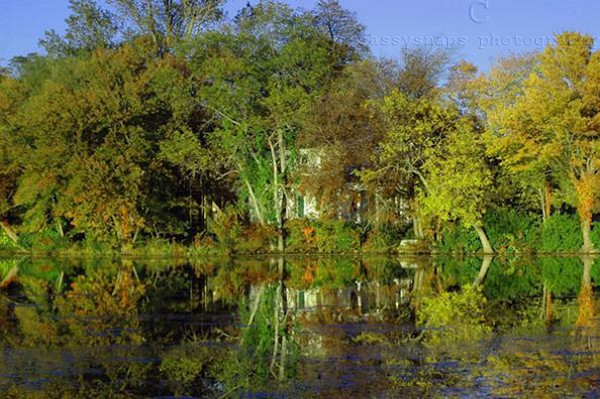 summer reflection