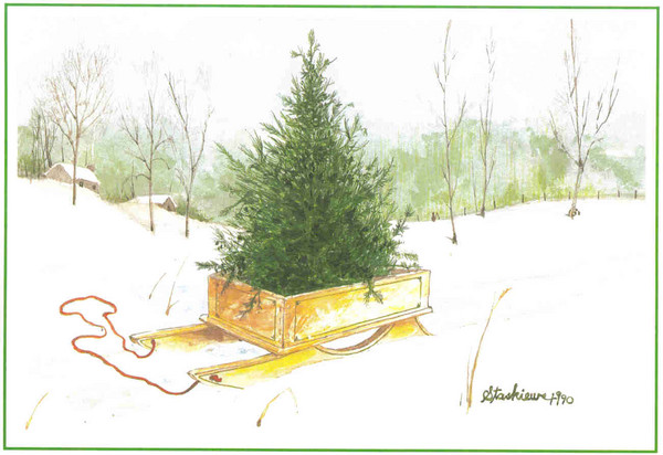 Tree on Sled By: Daniel Staskiews