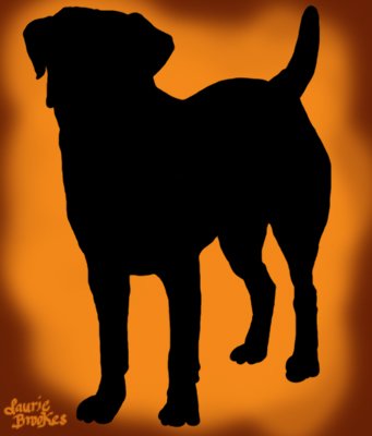 Dog7