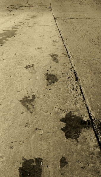 little footprints, long road ahead