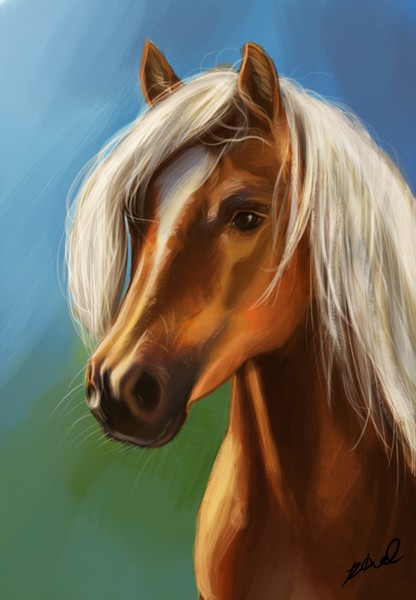 Horse