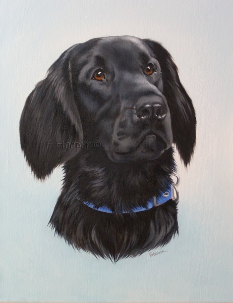 Alfie