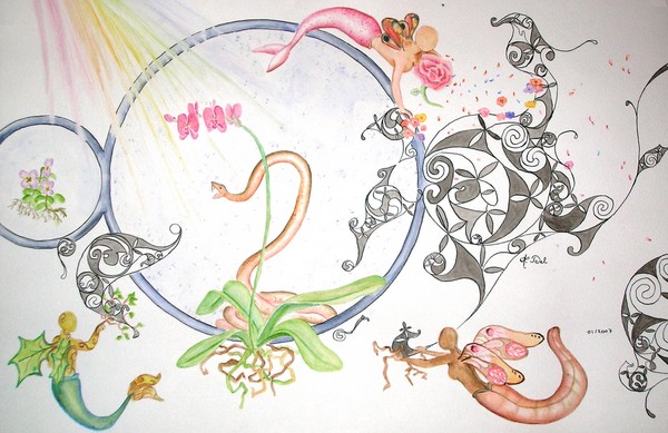 conversion of  black forms by fairies
