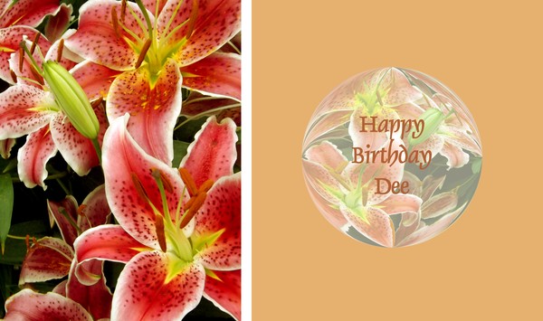 Happy Birthday Dee