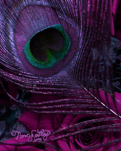 Feather and Rose Mood