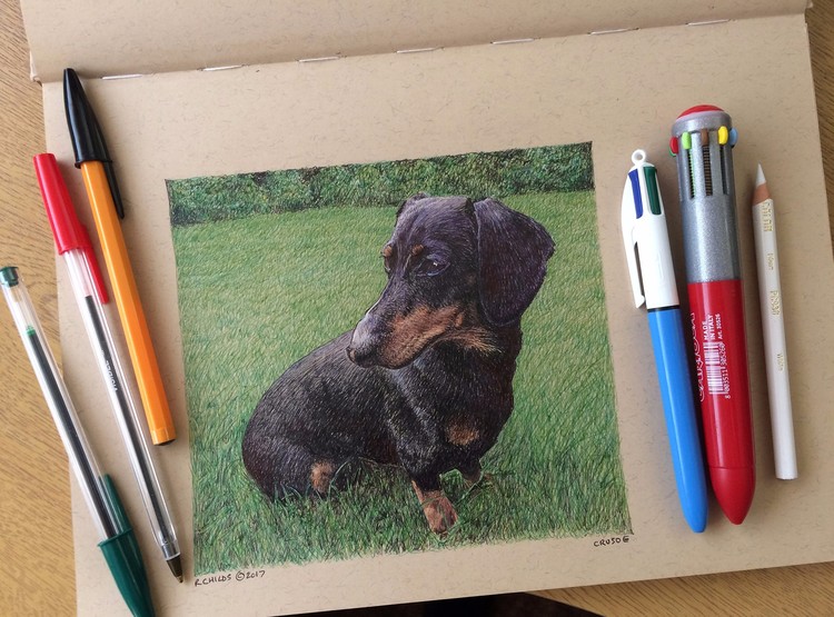 Crusoe the Dachshund
