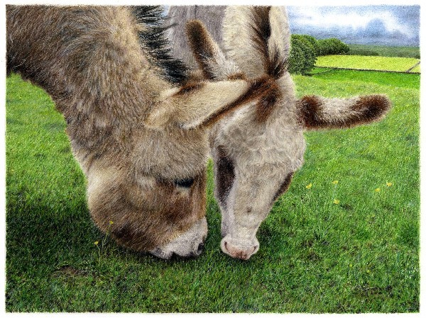Out to Grass