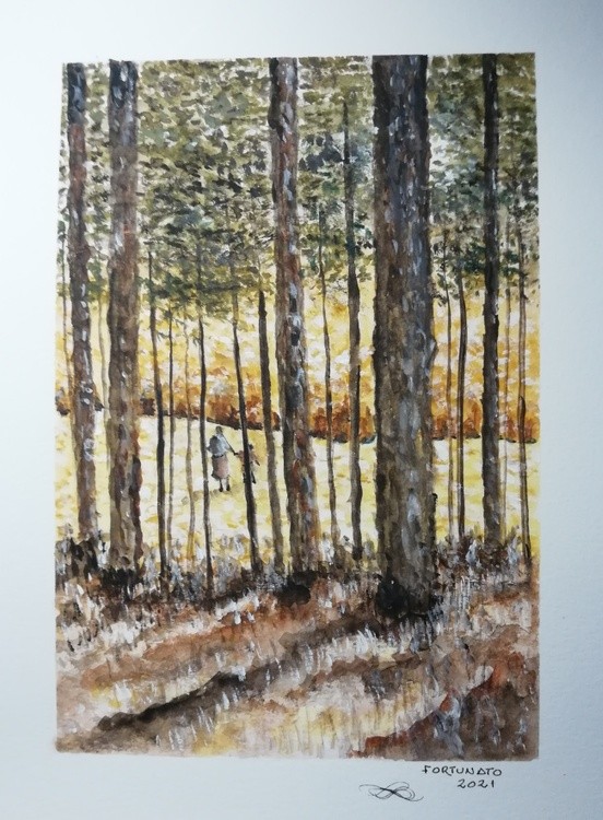 Passeio no Bosque