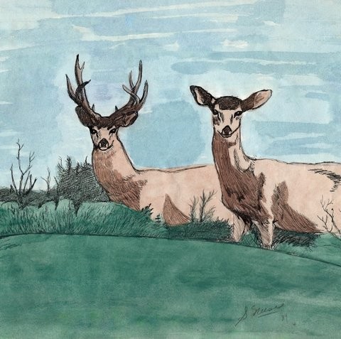 Watercolor Ink Sketch