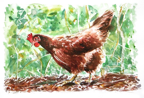 Happy Hen