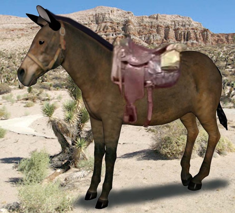 Mule
