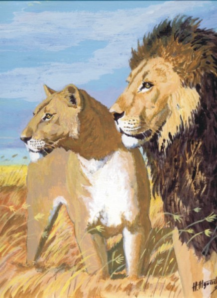 Lions