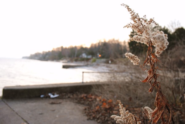 fun with the Nikon D3000 