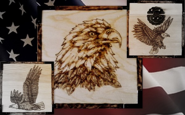 Patriotic Wings