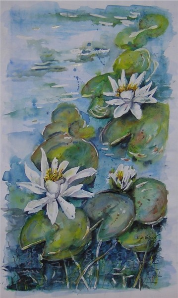 Seerose / Waterlily