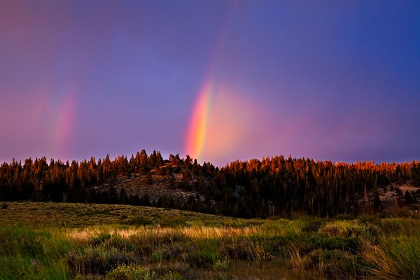 Rainbows Over Jeffrey Pines
