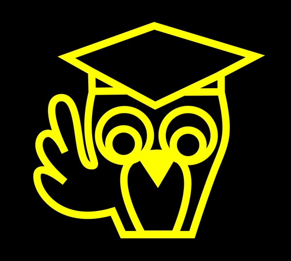 Clever Owl Lecturing