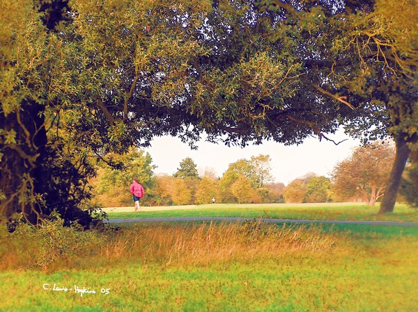 Autumn Run