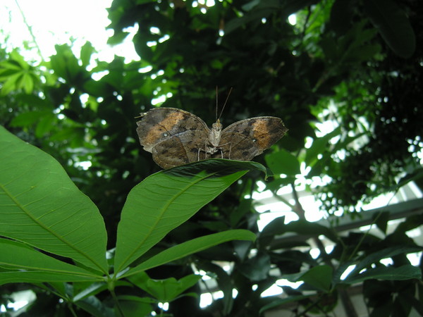 Hello! Are you looking for me?