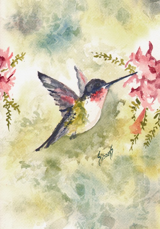 Hummingbird