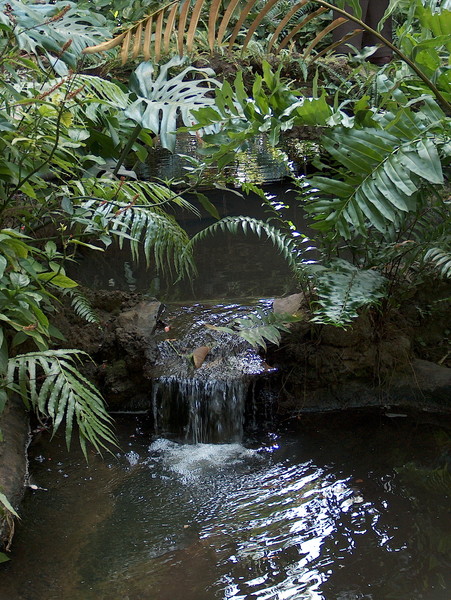 Running Water 2
