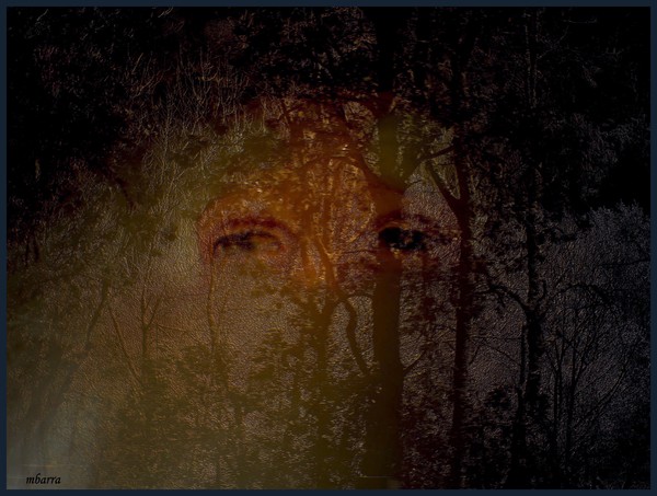 The Forest Sentinel