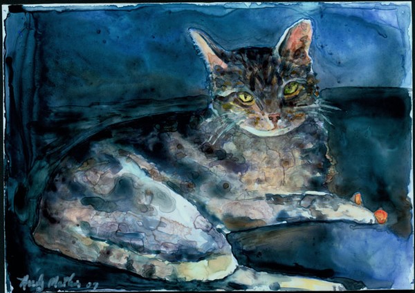 Sirius- Black Tabby Cat