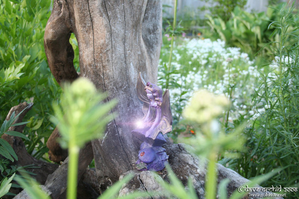 The Light Fairy