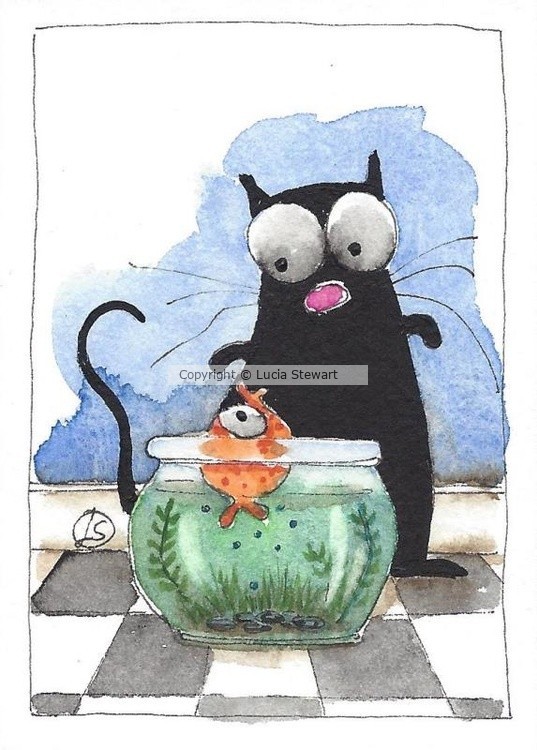 Curious Fish