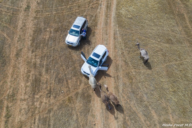 DRONE VIEW