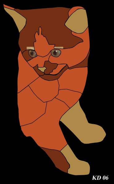 cat in armour