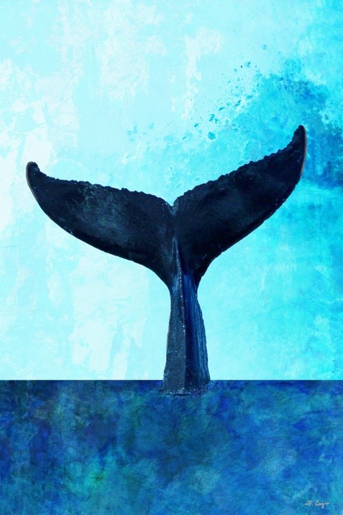 A Whale Tale