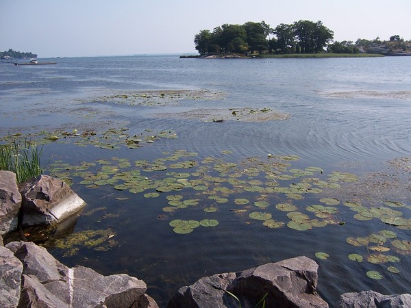 An island